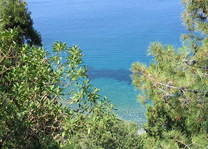Il Cisto