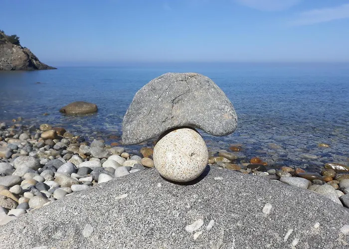 Il Cisto