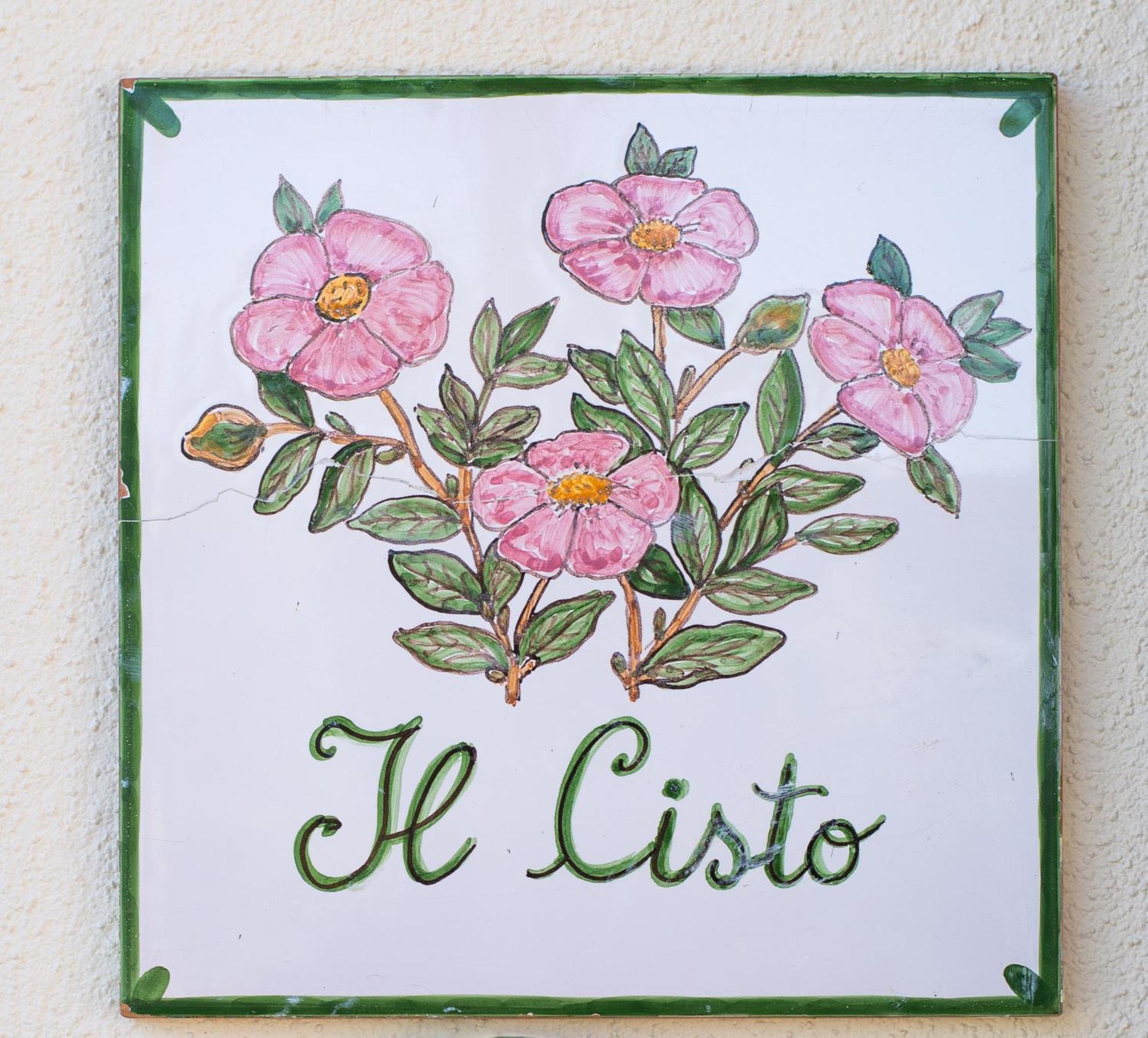 Il Cisto