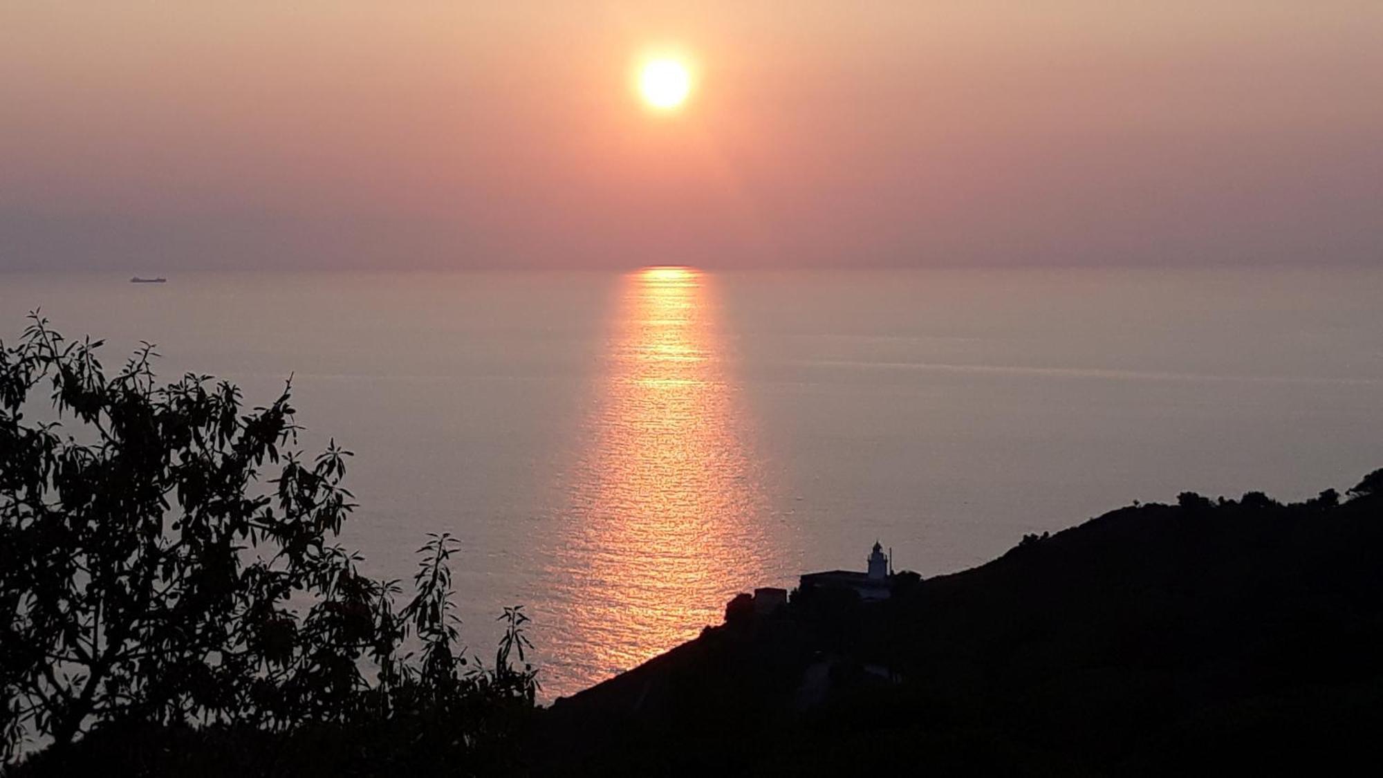 Il Cisto * Marciana (Isola d'Elba)